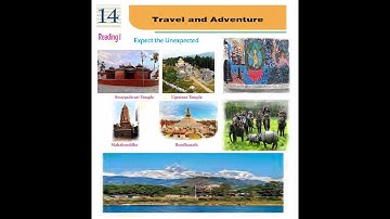 Grade 10 Unit 14  Reading I//Expect the Unexpected//