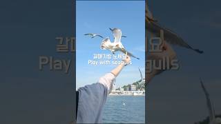 [4K] 1분여행) 인천 월미도 배타고 영종도까지 가서 해물 라면을?