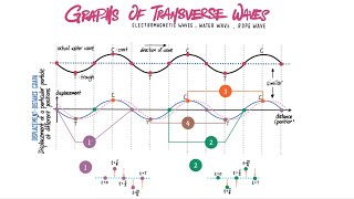 Understanding Displacement-Distance and Displacement-Time graphs of a Transverse Wave