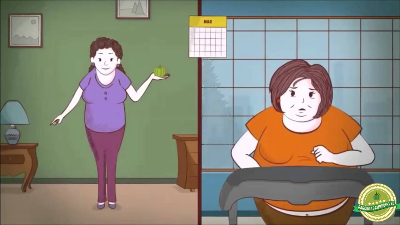un folosit cineva garcinia cambogia veda