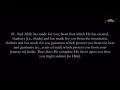 MUST HEAR AN NAHL MUHAMMAD MUBARAK سورة النحل محمد مبارك 