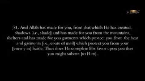 MUST HEAR  AN NAHL  MUHAMMAD MUBARAK  سورة النحل   محمد مبارك