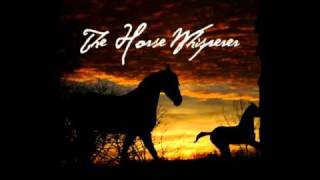 Video thumbnail of "Thomas Newman - Montana (The Horse Whisperer Soundtrack)"