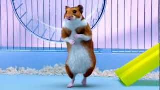 Free Radio  Hamster (TV Advert 30')