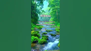Hiibboo Deebii Commentii Irratti Barreessaa 