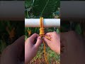 Test your skill: the basic knot challenge #bowlineknot #ropeskills #survivalskills #knot #rope