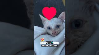 If you see this PLANT,  run! 😨 #viral