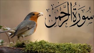 Surat Ar-Rahman - Mishary Rashed Alafasy | سورہ رحمٰن55 | Beautiful Recitation | Ep 96