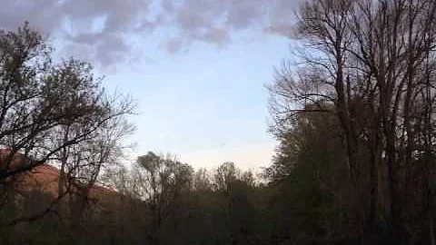 ORVIS - Hendrickson Spinner Mayflies Over The Batt...