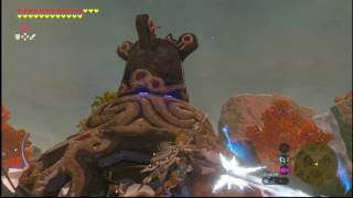 Zelda Breath Of The Wild Hobbies Of The Rich Side Quest