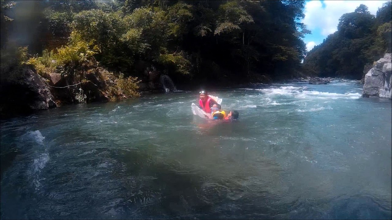 栃木県 清流大芦川で川遊び カジカ ナマズと再会 千葉県の自然で遊ぶ