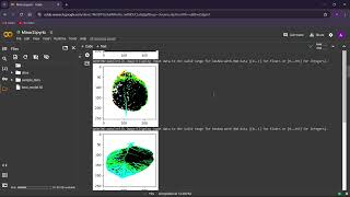 Turmeric Plant Leaf Diseases Detection and Classification using Deep Learning screenshot 4