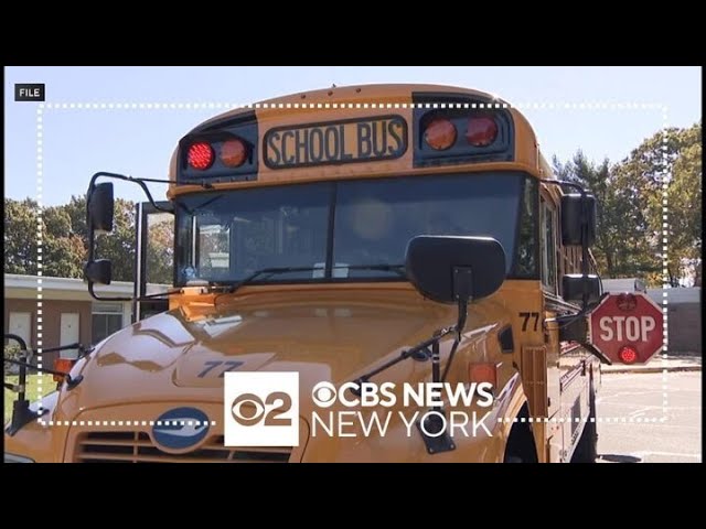 Long Island Lawmakers Mount Opposition To State S Plan On Electric School Buses