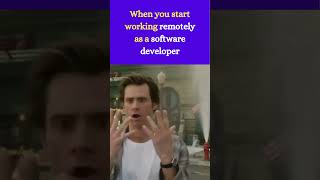 Software developers working remotely