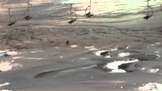 20140208白鷹1
