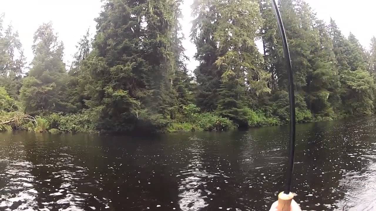 Klawock River Coho YouTube