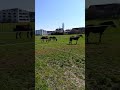 April 2018 - Freunde! - Teil 2 von 3 April 2018 - Freunde! - Teil 2 von 3