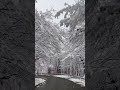 The kind of cold that wakes you up.  #aesthetic #fireworks #asmr #winter