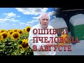 Август на пасеке Что должен сделать пчеловод в первую очередь