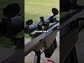 The Heart Attack Gun
