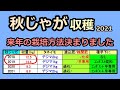 【秋ジャガイモの収穫 2021】来年の栽培方法がわかりました