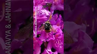 ganavya & Jahnavi Harrison share THE BEE