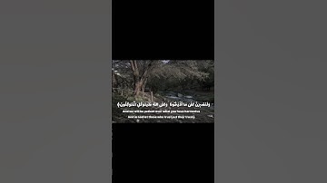 تلاوة مُريحه بصوت القارئ محمد بن خالد المبارك