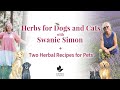 Safe herbs for dogs and cats with swanie simon  two herbal recipes for pets
