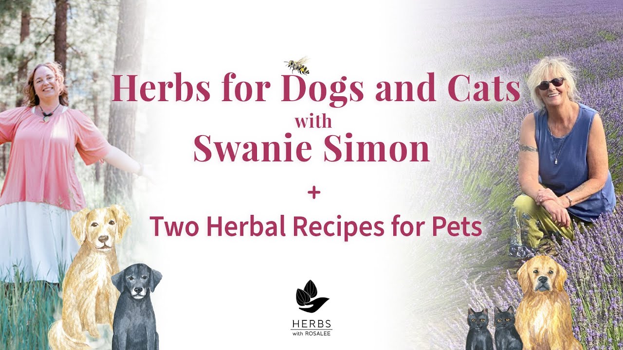 Safe Herbs for Dogs and Cats with Swanie Simon + Two Herbal Recipes for Pets