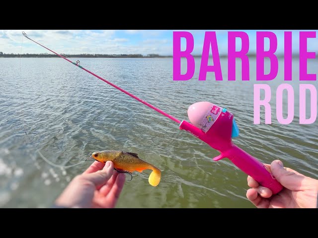 best beginner fishing poles Picking the Right Fishing Rod for Beginner Anglers