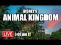 🔴 Live: Fun at Disney’s Animal Kingdom | Walt Disney World Live Stream