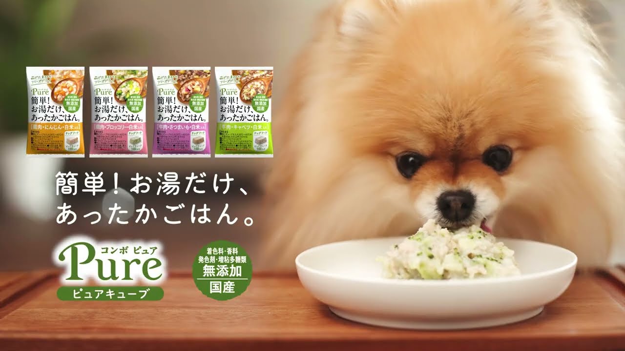 ピュアキューブ（ドッグフード）｜特別価格のおためしセット｜国産
