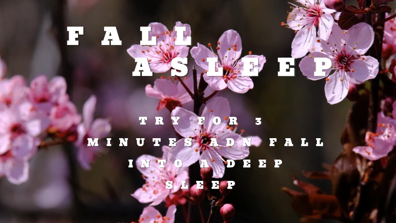 Try Listening for 3 Minutes FALL ASLEEP FAST | DEEP SLEEP RELAXING ...