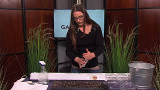 how to start  seeds indoors