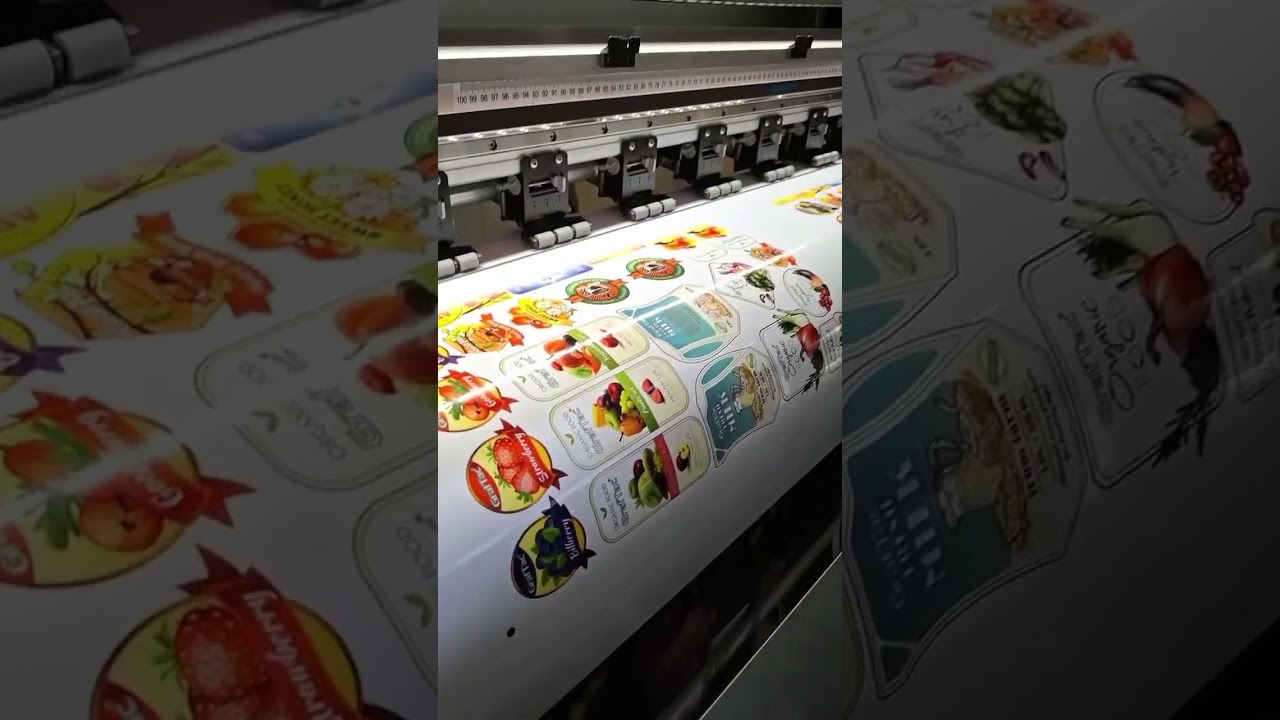 Magna eco Solvent 2 head i3200