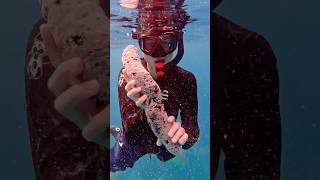 What is this?