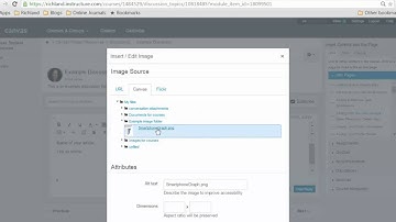 Embedding an Image in a Discussion (in Canvas)