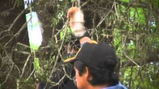 Timboirenda - Aguaray - Salta