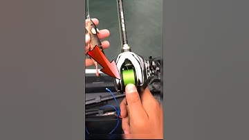 Cách Chọn Cần Câu Lure Nên Chọn Cần Đứng hay Cần Ngang