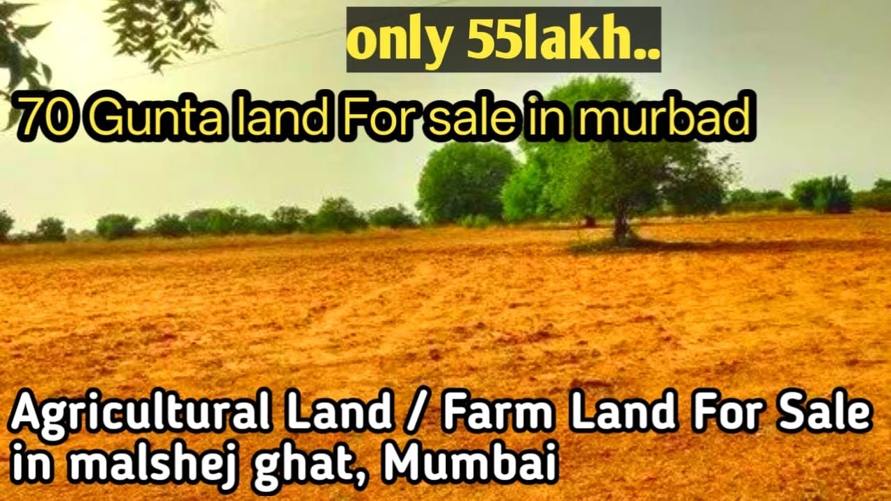 9689984341/70 Gunta Land for Sale in Murbad Village @Saideva-Real-Esatet-Murbad 