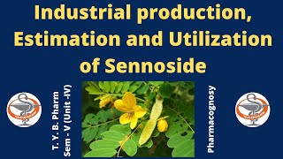Industrial Production, Estimation and Utilization of Sennoside ( HINDI )