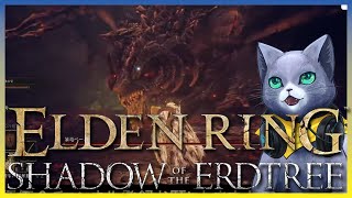 【08】ELDEN RING・DLC 磯野ボス戦行こうぜ！