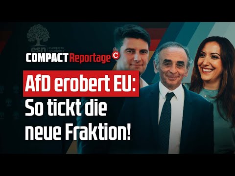 AfD erobert EU: