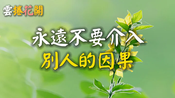 🌺不同情別人的命運，不介入別人的因果 - 天天要聞