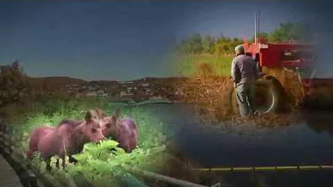 NewsSource 8: This Is the Place