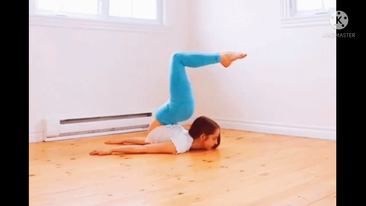 Contortionist gifs