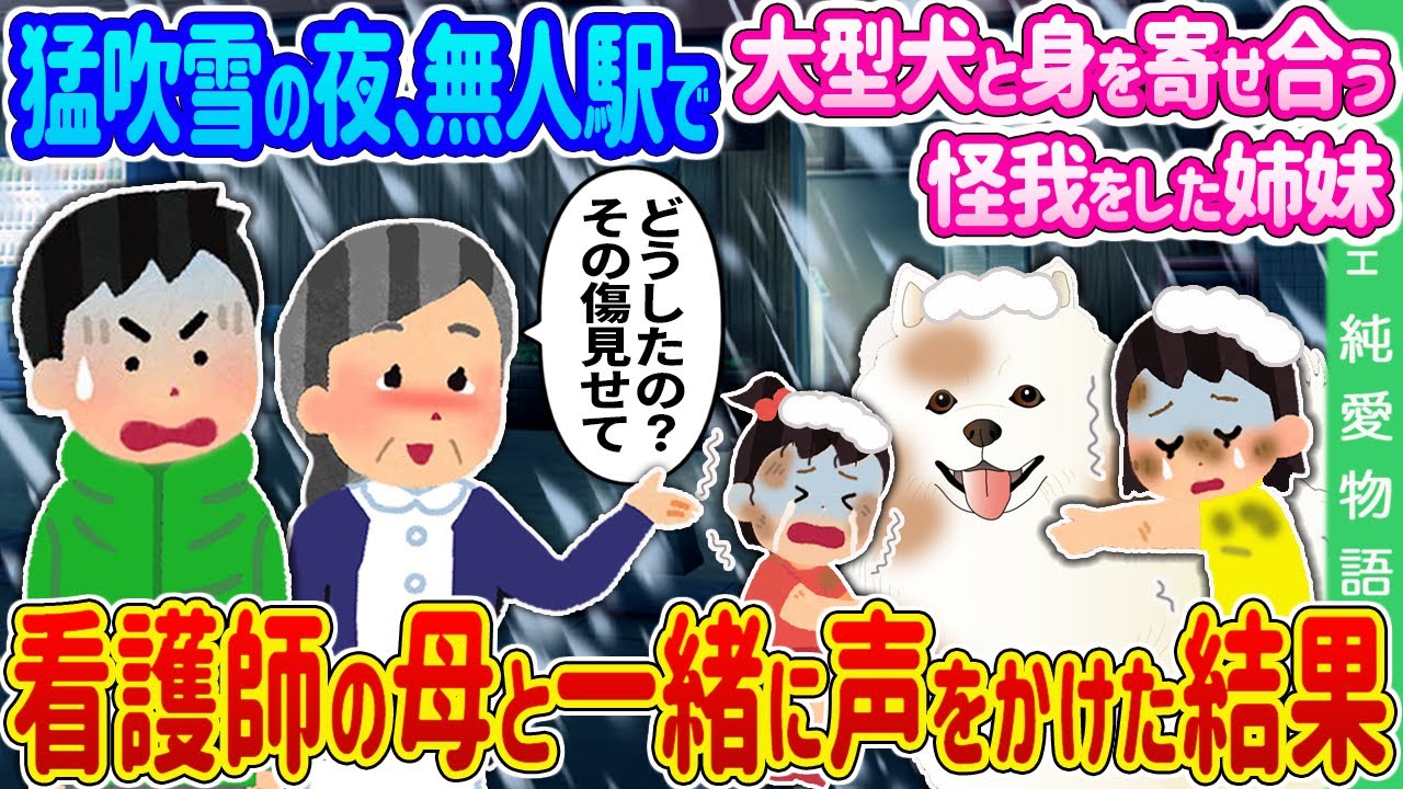 【2ch馴れ初め】猛吹雪の夜、無人駅で大型犬と身を寄せ合う怪我をした姉妹→看護師の母と一緒に声をかけた結果…【ゆっくり】