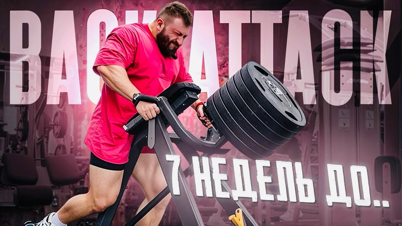 УШАТАЛ СПИНУ | НОВОСТИ ЗА ПОСЛЕДНЕЕ ВРЕМЯ 