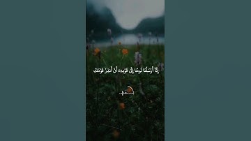 أجمل حالات واتس اب قرأن بصوت القارئ ماهر المعيقلي/#سورة_نوح#القرآن_الكريم #ماهر_المعيقلي/#1/#quran