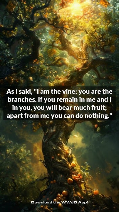 what-does-john-15-5-teach-us-my-beloved-this-verse-is-a-reminder